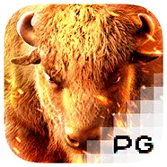 alice432 slotgame